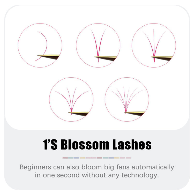 Colorful Blooming Eyelash Extension