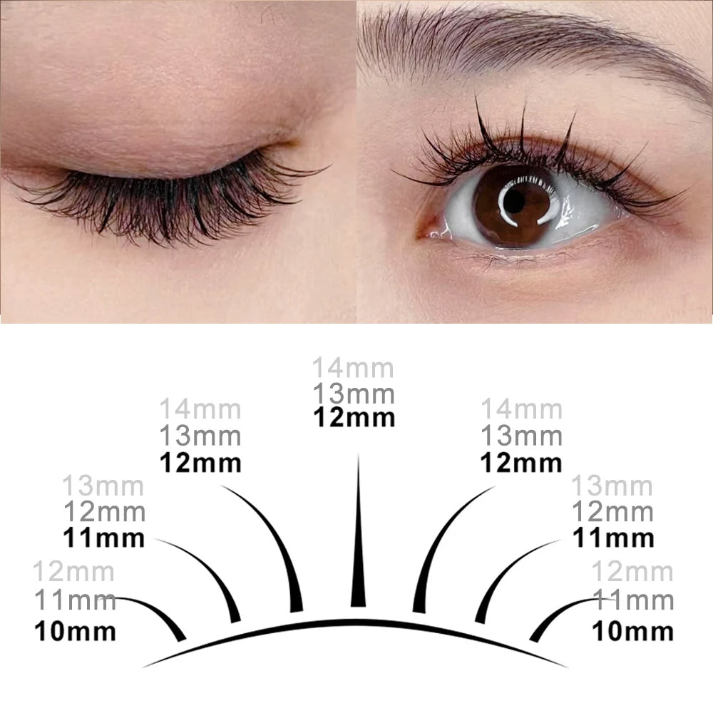 A-M Shape Spikes Eyelash Extension