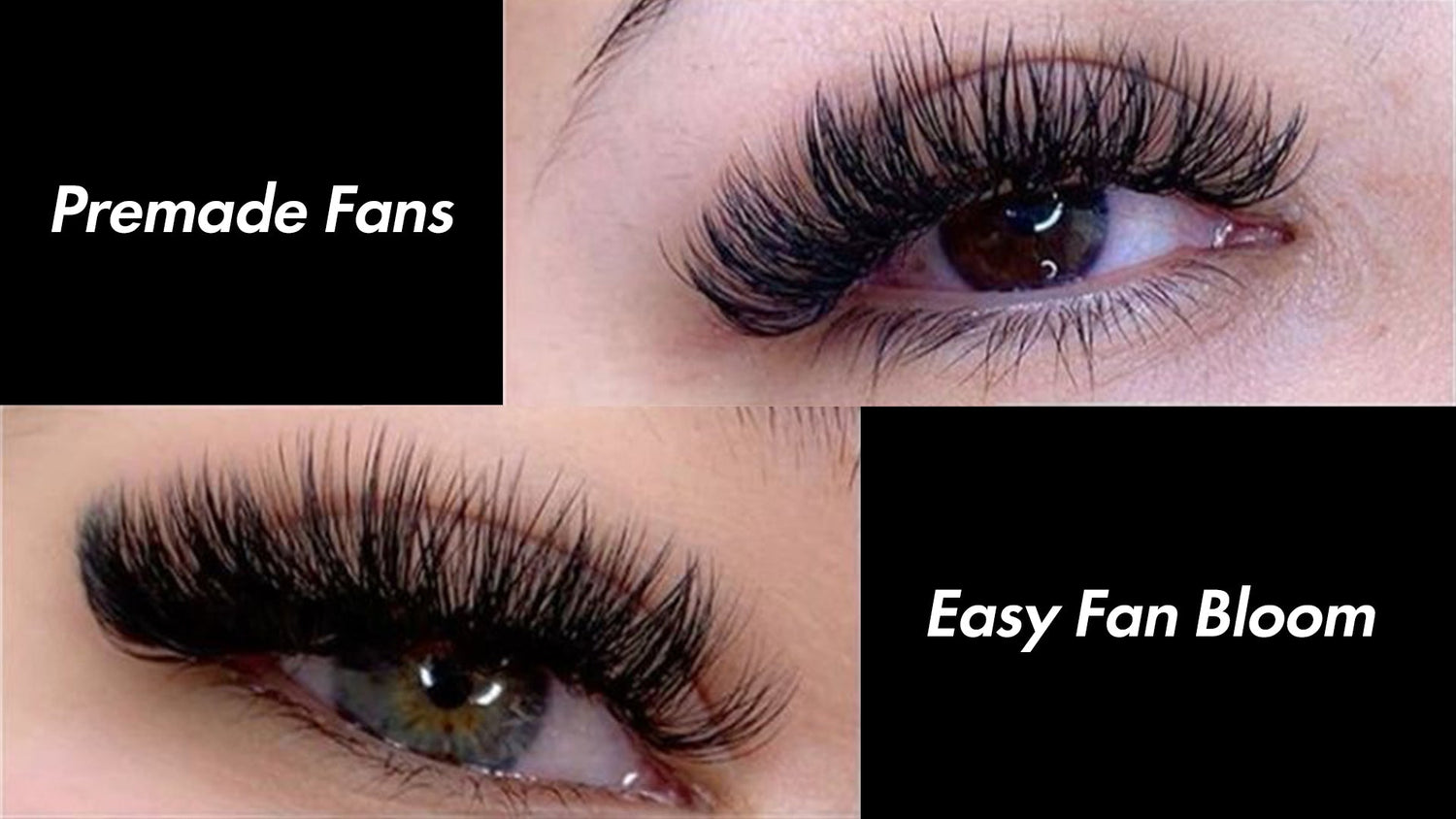 Pros and Cons of Easy Fan Lashes vs Premade Fans