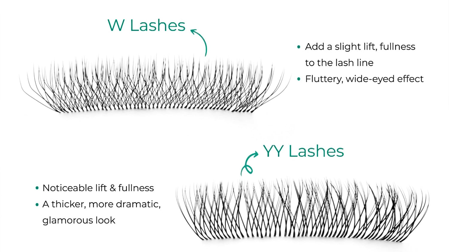 W Shape vs. YY Lashes: Which One Is Better for Retention?