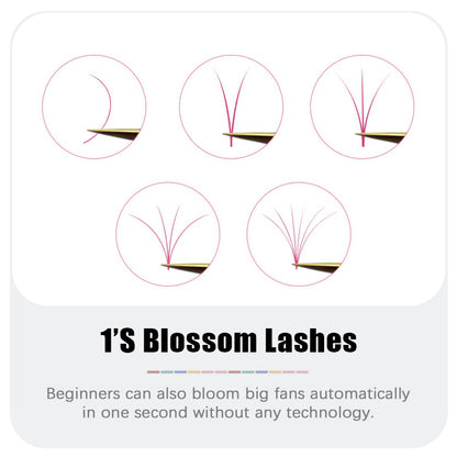 Colorful Blooming Eyelash Extension