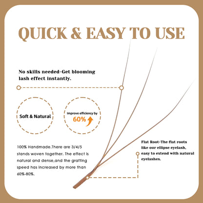 Brown 5D W Shaped Eyelash