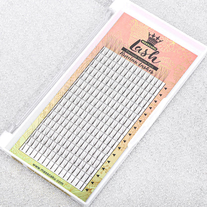 Premade Fans Long Stem Lashes 4D