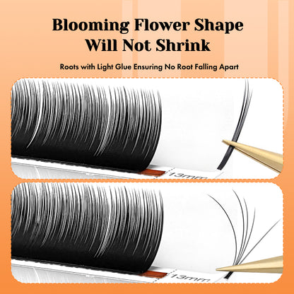 Cashmere Blooming Eyelash