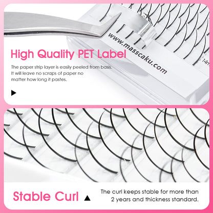 A-M Shape Spikes Eyelash Extension
