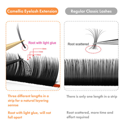 Cashmere Blooming Eyelash