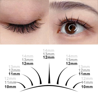 A-M Shape Spikes Eyelash Extension