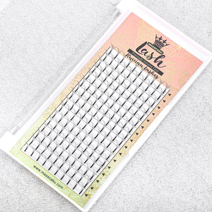 Premade Fans Long Stem Lashes 6D