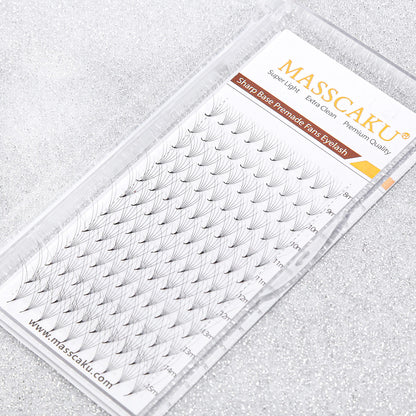Sharp Base Premade Fans Eyelash 6D