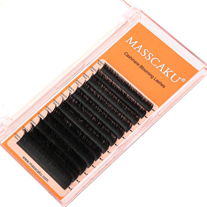 Cashmere Blooming Eyelash